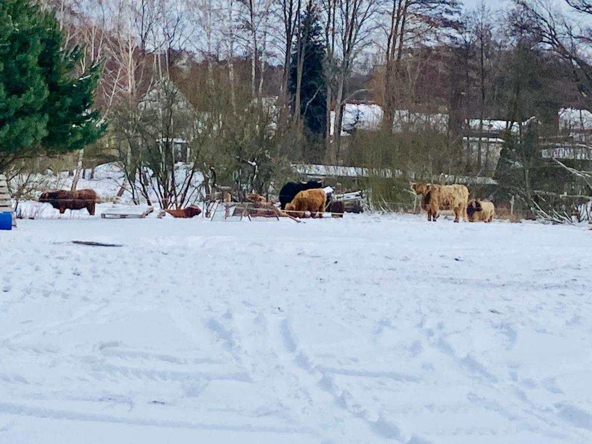 Ferienhaus Am Schwielochsee Eksteriør bilde